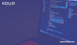 How to Identify the Best Custom Software Provider for Your Industry