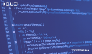 How to Know if Your Provider Follows Good Coding Practices?