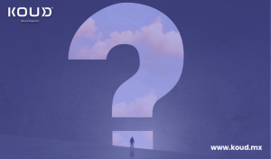 What questions should you ask before signing a contract with a software company?