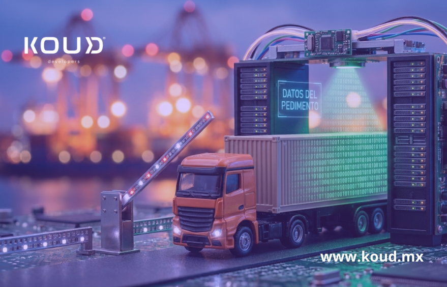 Logistic software development Veracruz